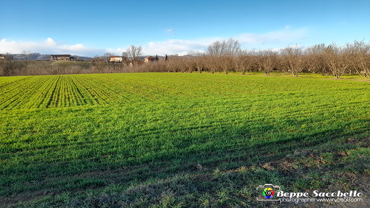 20230109_154123 - Dalla terra... il grano.jpg